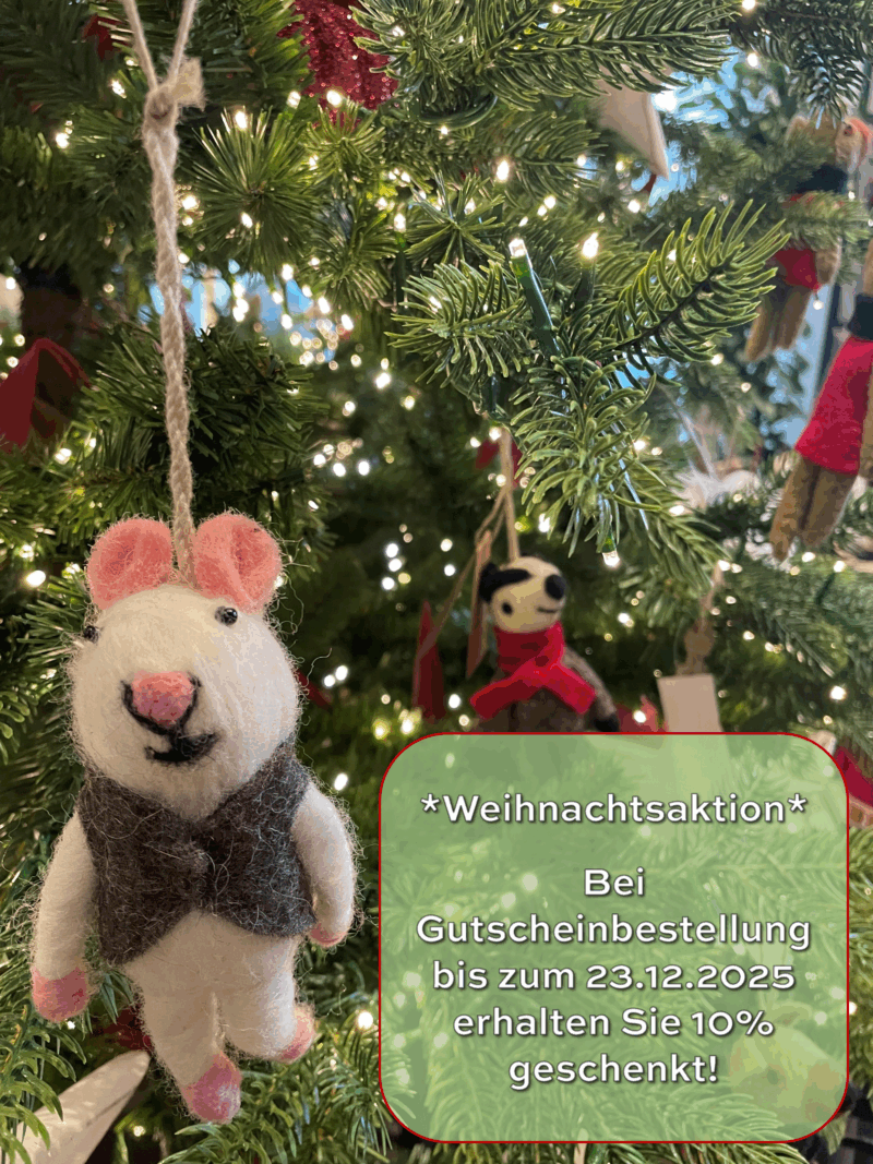 Weihnachtsaktion 2025